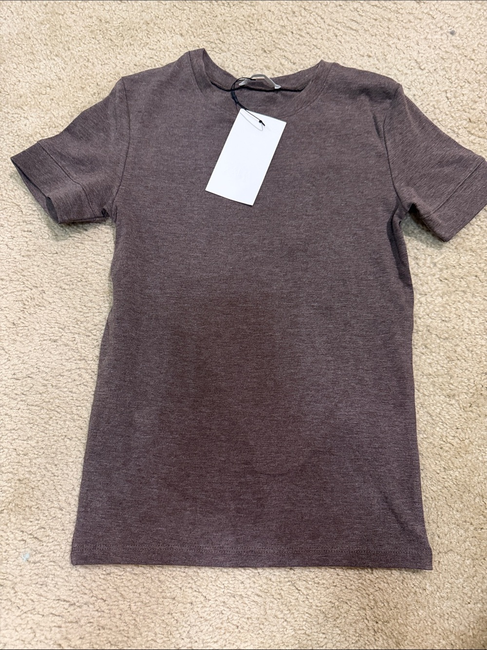 Zara Short Sleeve Crewneck Tee in Brown